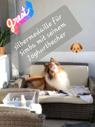 Video Challenge Nr. 4 - Lecker, Lecker-Beitrag-Bild