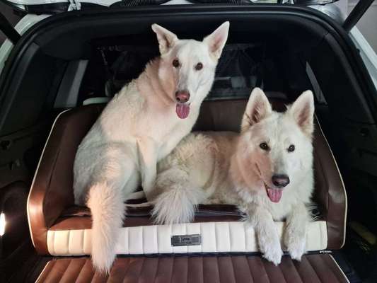 117. Fotochallenge-Beitrag-Bild