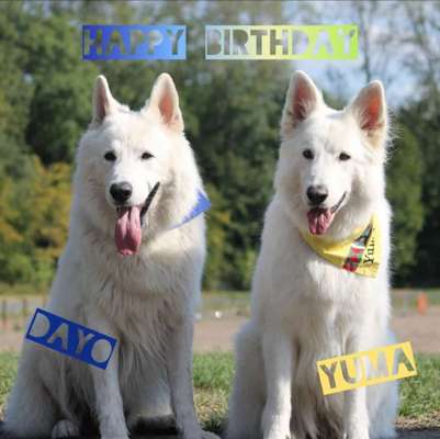 happy birthday-Beitrag-Bild