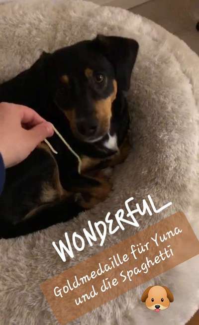 Video Challenge Nr. 4 - Lecker, Lecker-Beitrag-Bild