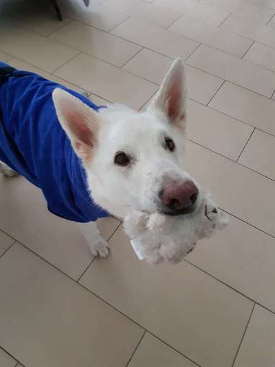 19. Farben  Fottochallenge :
Lieblingsfarbe-Beitrag-Bild