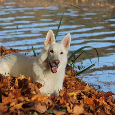 Fotochallenge Nr. 67: Euer Lieblingsbild-Beitrag-Bild