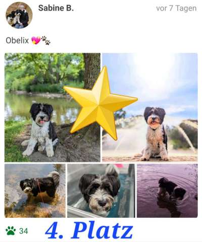 Eure schönsten Fotos mit Wasser-Beitrag-Bild