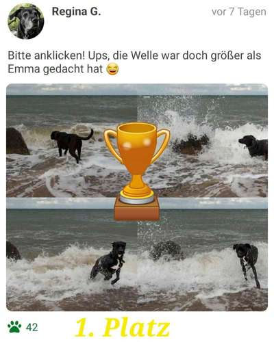 Eure schönsten Fotos mit Wasser-Beitrag-Bild