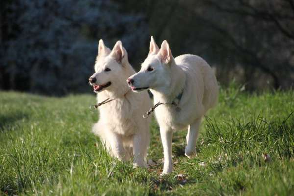 Fotochallenge 78

Es grünt und blüht-Beitrag-Bild