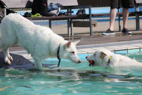 Fotochallenge 27-Beitrag-Bild