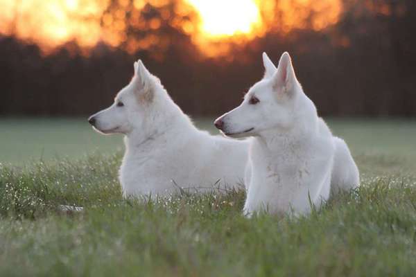 Fotochallenge Nr. 62 Romantische Momente-Beitrag-Bild