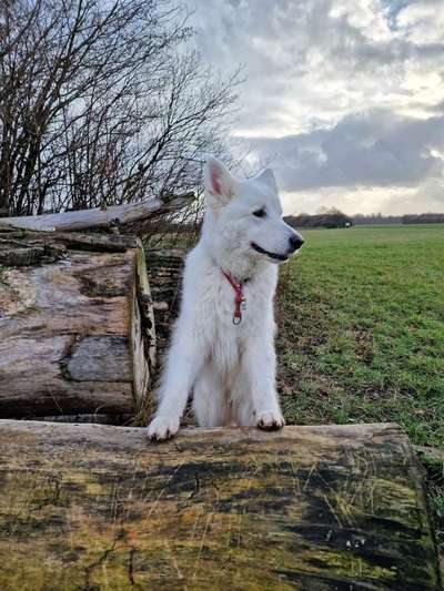 27. Handy Fotochallenge-Beitrag-Bild