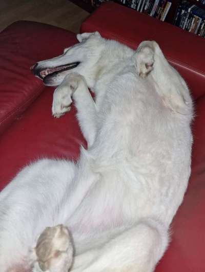 Foto Challenge - Zeigt her eure Bäuche-Beitrag-Bild