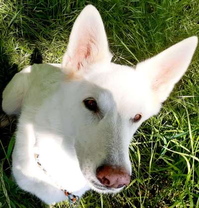 Blick fürs Detail!-Beitrag-Bild