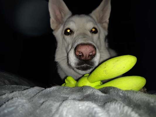 Handy-foto Challange nr. 11-Beitrag-Bild