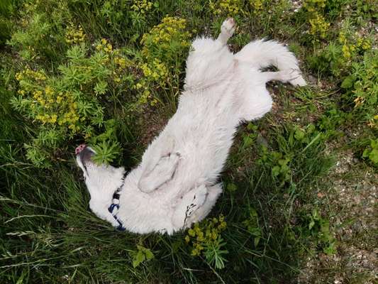 Fotochallenge Nr.65-Beitrag-Bild