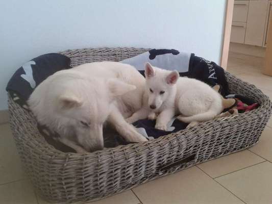 Foto Challenge 82-Beitrag-Bild