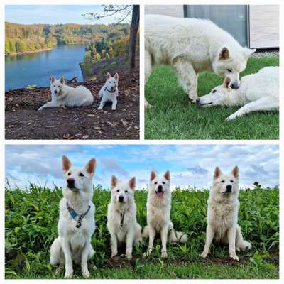 12. Collagen Challenge - Auslastung/Training-Beitrag-Bild