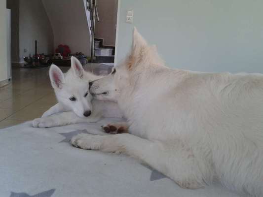 Fotochallange Nummer 5-Beitrag-Bild