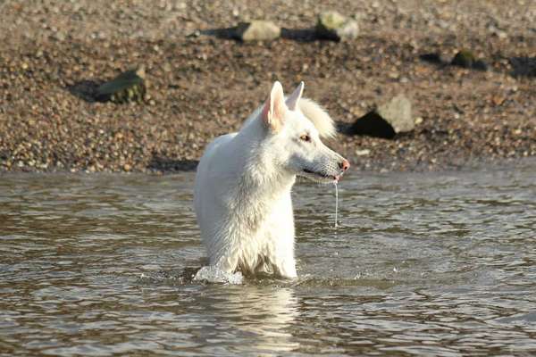 35. Handy Foto Challenge - Das nasse Element-Beitrag-Bild