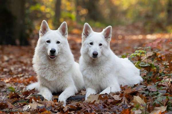 Fotochallenge 130-Beitrag-Bild