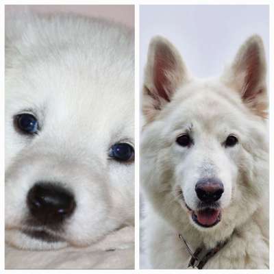 28. Handy-Fotochallenge - Damals und heute-Beitrag-Bild