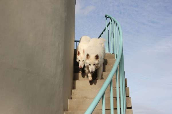 21. Handy-Foto-Challenge-Beitrag-Bild