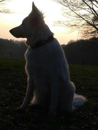 Fotochallange Nr. 46

Schattenspiele BEENDET!!!!!-Beitrag-Bild