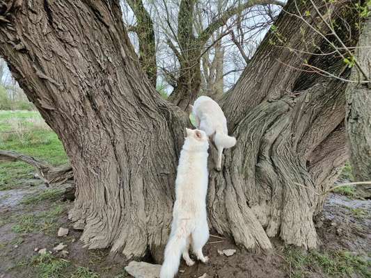 57. Handy Foto Challenge - klettern-Beitrag-Bild