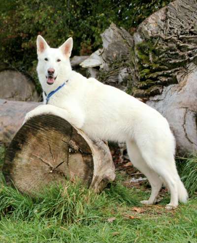 25. Handy Foto Challenge-Beitrag-Bild