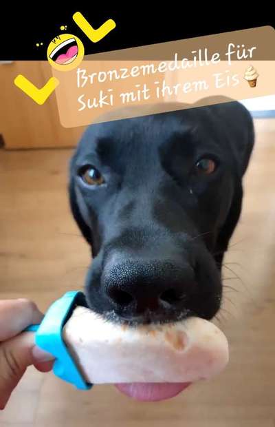 Video Challenge Nr. 4 - Lecker, Lecker-Beitrag-Bild