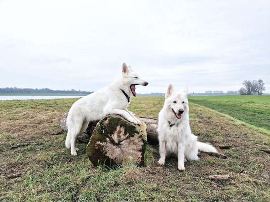 "Die eingefangene Magie des Augenblicks"-Beitrag-Bild