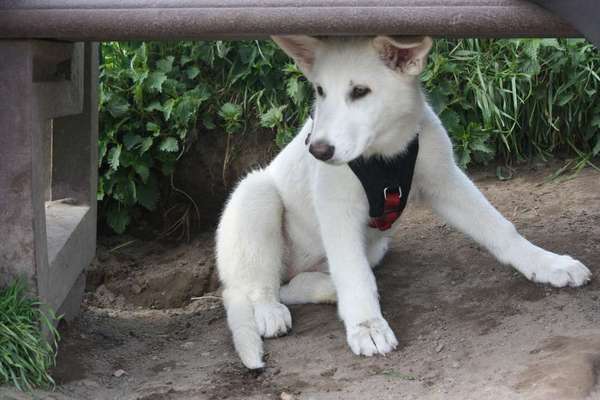 Vorher.... Nachher-Beitrag-Bild