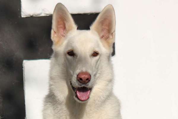 Fotochallange Nr. 57     PORTRÄT.   Beendet!!!!!!!!-Beitrag-Bild