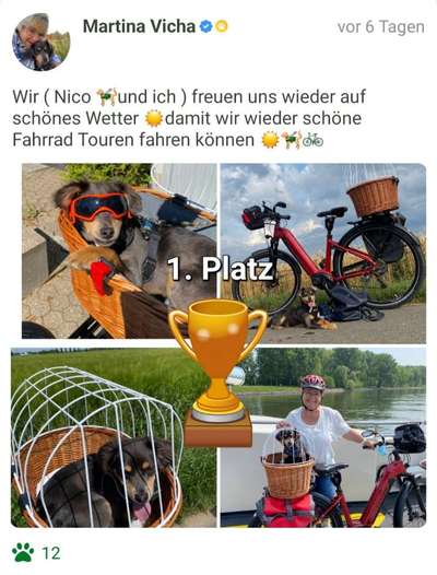 33. Collagen Challenge - Dein Hund und ein Fahrrad-Beitrag-Bild