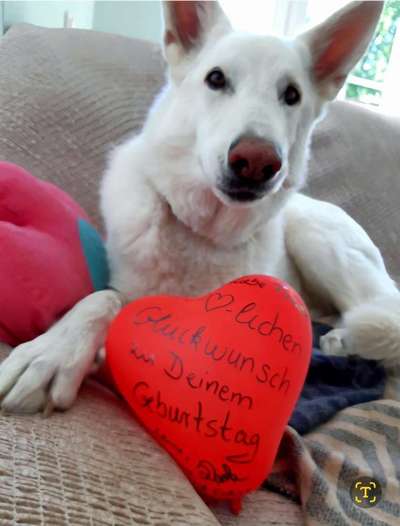 67. Handy Foto Challenge: Rotes Herz-Beitrag-Bild