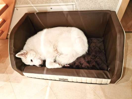 117. Fotochallenge-Beitrag-Bild