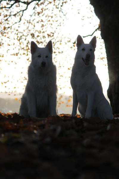 Sonnenaufgänge oder - untergänge-Beitrag-Bild