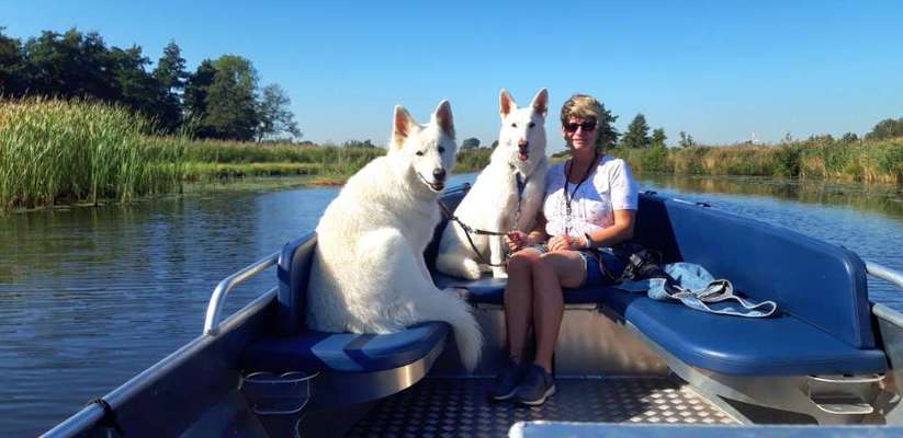 141. FOTO CHALLENGE 
Reisende soll man nicht aufhalten-Beitrag-Bild