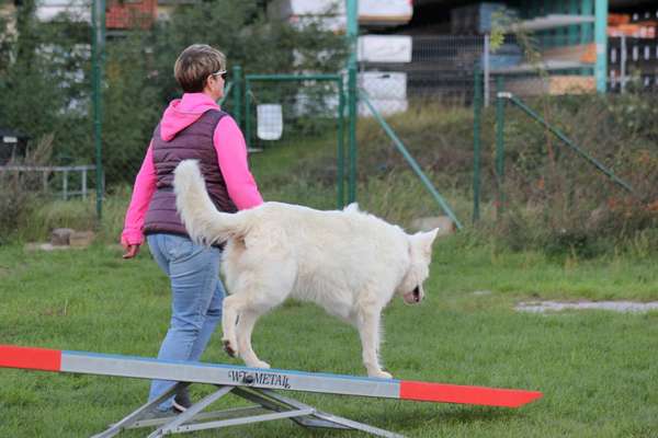 Fotochallenge 108: Starkes Team-Beitrag-Bild