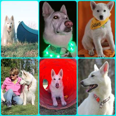 48. Collagen Challenge: Das Leben ist bunt-Beitrag-Bild