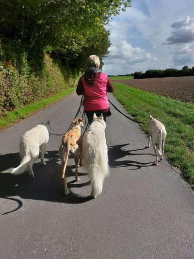 41. Handy Fotochallenge - Euer gemeinsames Hobby-Beitrag-Bild