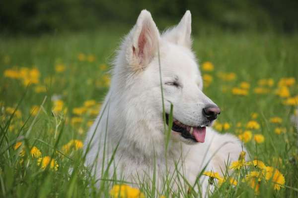 Foto Challange Nr.80-Beitrag-Bild