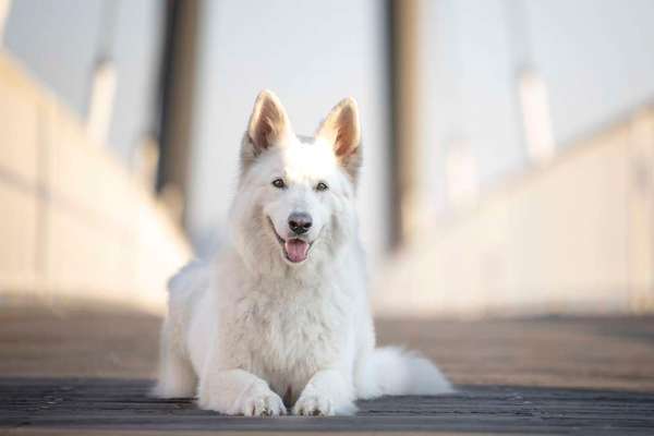 Fotochallenge Nr. 67: Euer Lieblingsbild-Beitrag-Bild