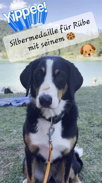 Video Challenge Nr. 4 - Lecker, Lecker-Beitrag-Bild