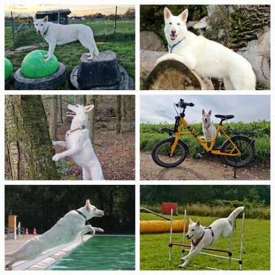 12. Collagen Challenge - Auslastung/Training-Beitrag-Bild