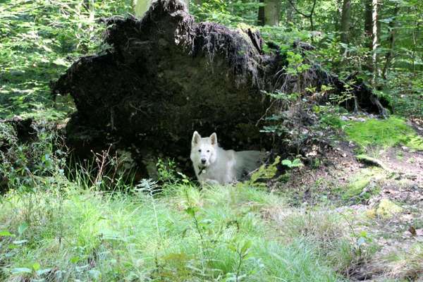 80. Foto  Challenge - Versteckt/ in einer Höhle-Beitrag-Bild