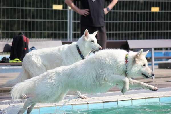 Fotochallenge Nr. 52 „Spring!“-Beitrag-Bild