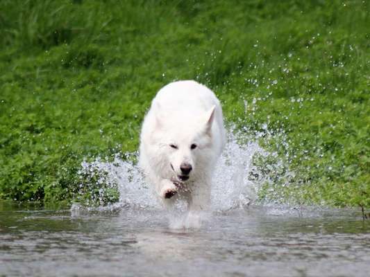 35. Handy Foto Challenge - Das nasse Element-Beitrag-Bild