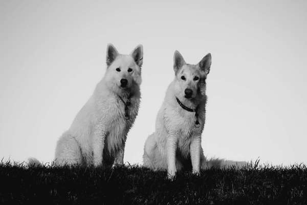 Foto-Challenge 76: Foto in Schwarz-Weiss-Beitrag-Bild