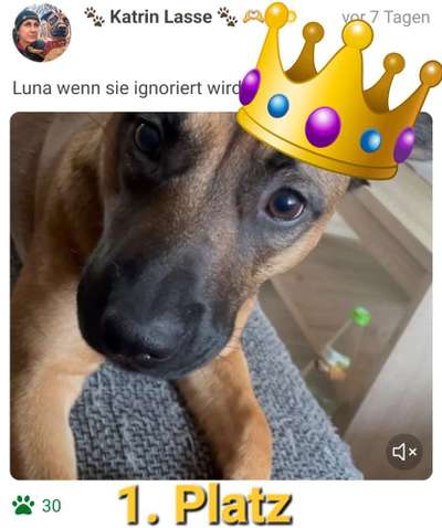 Handy Video Challenge Nr. 39- Bellen u.s.w.-Beitrag-Bild