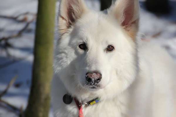 Moviestar-Pics!-Beitrag-Bild