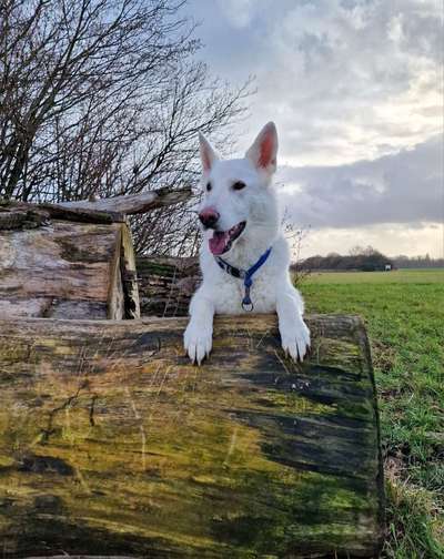 27. Handy Fotochallenge-Beitrag-Bild