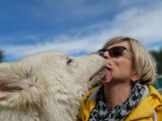 Dogorama Photo Challenge - Liebesbeweis-Beitrag-Bild